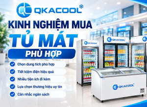 Kinh nghiệm mua tủ mát